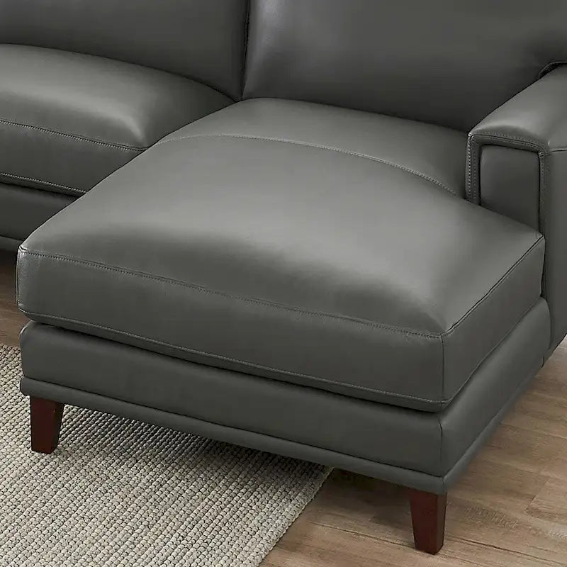 Hydeline Hayward Top Grain Leather Sectional Sofa with Chaise